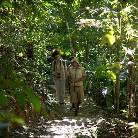Pumarinri Amazon Lodge Tarapoto Zewnętrze zdjęcie