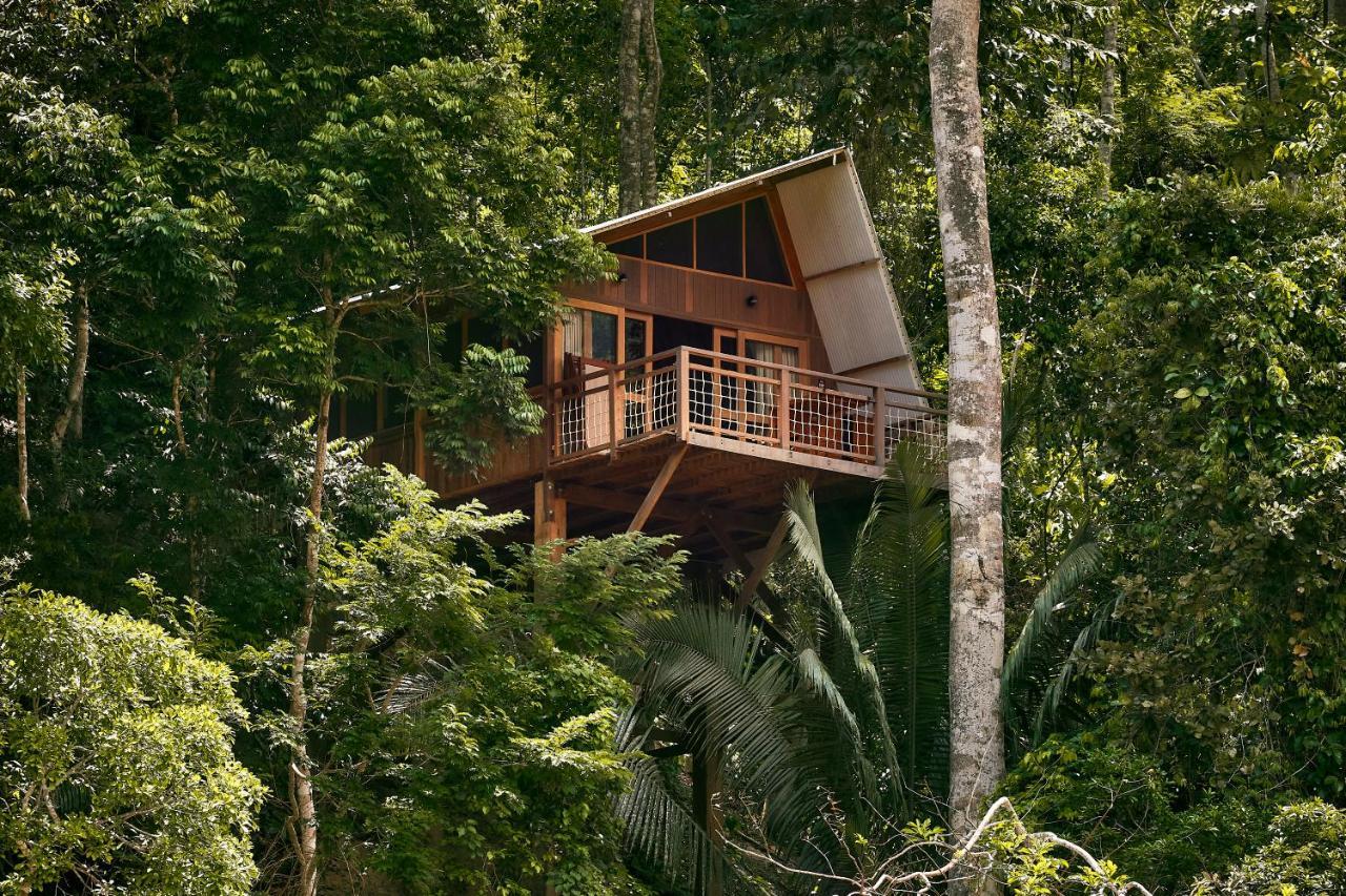 Pumarinri Amazon Lodge Tarapoto Zewnętrze zdjęcie