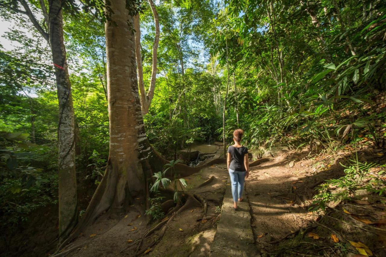 Pumarinri Amazon Lodge Tarapoto Zewnętrze zdjęcie
