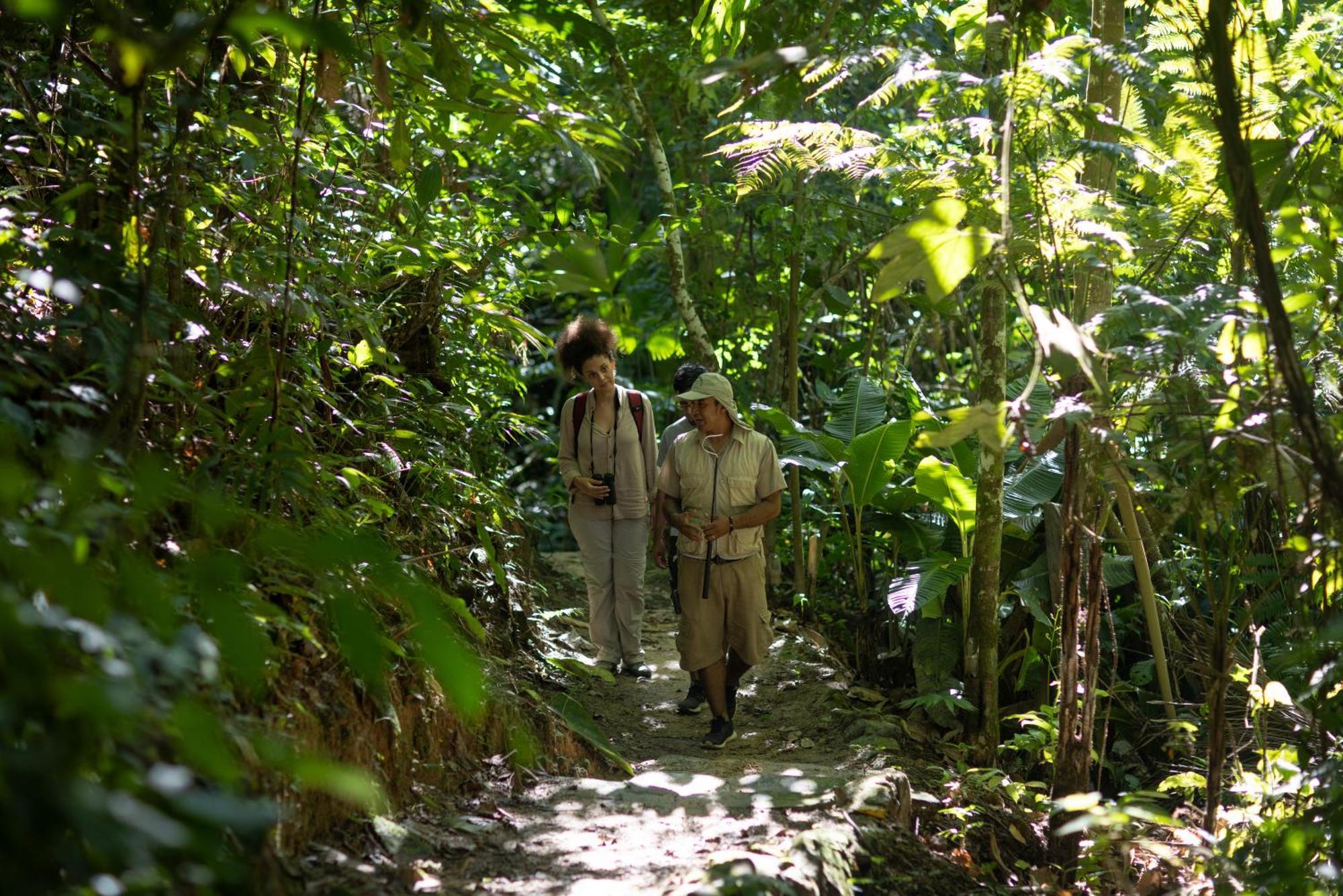 Pumarinri Amazon Lodge Tarapoto Zewnętrze zdjęcie