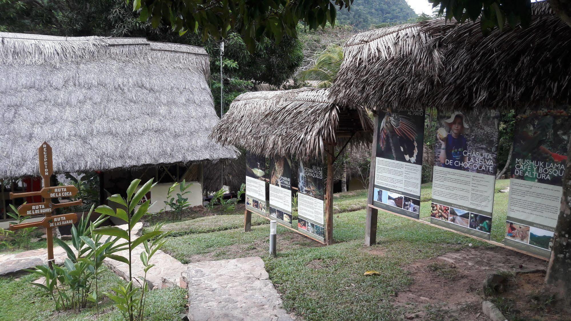 Pumarinri Amazon Lodge Tarapoto Zewnętrze zdjęcie
